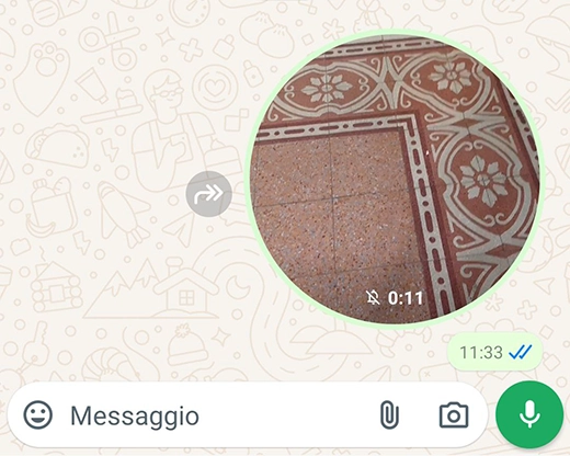 whatsapp videomesaggi 